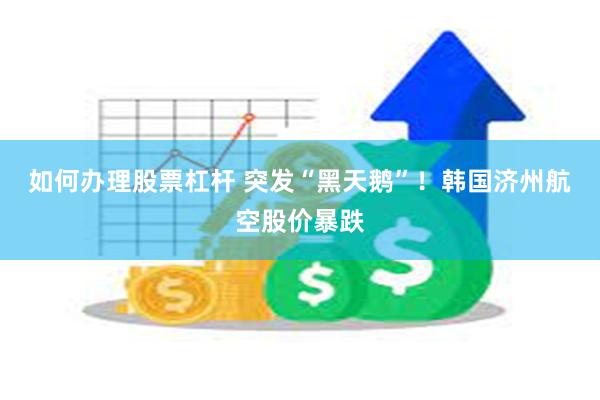 如何办理股票杠杆 突发“黑天鹅”！韩国济州航空股价暴跌