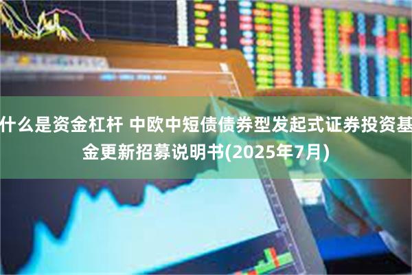 什么是资金杠杆 中欧中短债债券型发起式证券投资基金更新招募说明书(2025年7月)