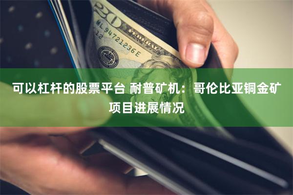 可以杠杆的股票平台 耐普矿机：哥伦比亚铜金矿项目进展情况