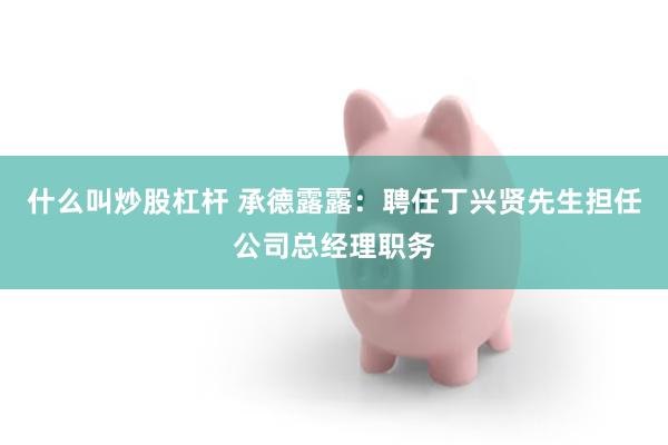 什么叫炒股杠杆 承德露露：聘任丁兴贤先生担任公司总经理职务
