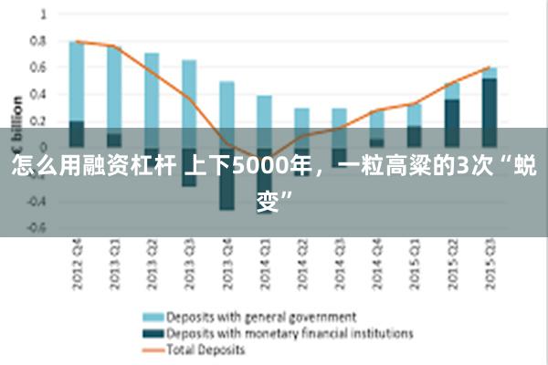 怎么用融资杠杆 上下5000年，一粒高粱的3次“蜕变”