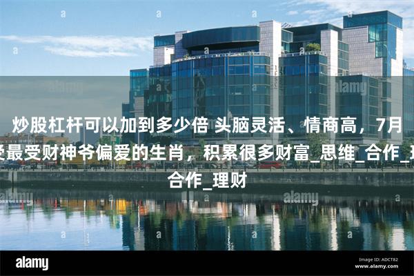炒股杠杆可以加到多少倍 头脑灵活、情商高，7月最受最受财神爷偏爱的生肖，积累很多财富_思维_合作_理财