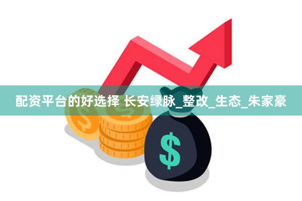 配资平台的好选择 长安绿脉_整改_生态_朱家豪