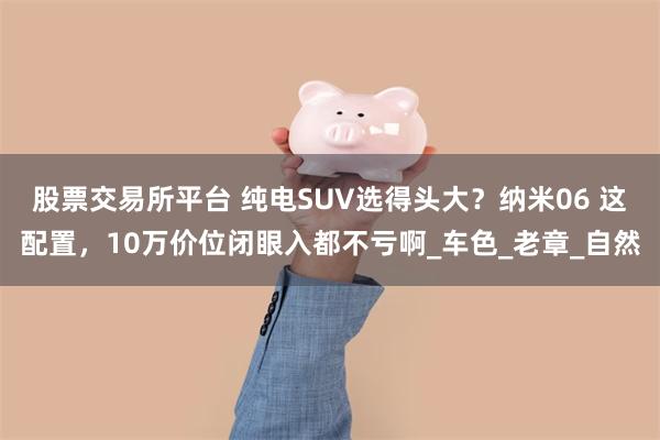股票交易所平台 纯电SUV选得头大？纳米06 这配置，10万价位闭眼入都不亏啊_车色_老章_自然