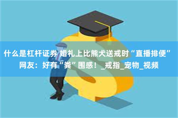 什么是杠杆证券 婚礼上比熊犬送戒时“直播排便” 网友：好有“粪”围感！_戒指_宠物_视频